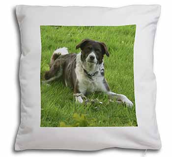 Liver and white Border Collie Dog Soft White Velvet Feel Scatter Cushion