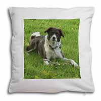 Liver and white Border Collie Dog Soft White Velvet Feel Scatter Cushion