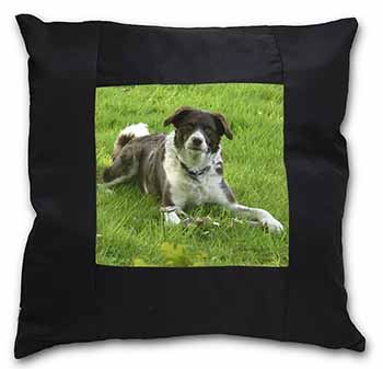 Liver and white Border Collie Dog Black Satin Feel Scatter Cushion