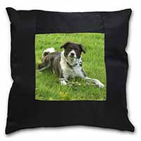 Liver and white Border Collie Dog Black Satin Feel Scatter Cushion