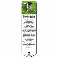 Liver and white Border Collie Dog Bookmark, Book mark, Printed full colour