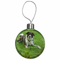 Liver and white Border Collie Dog Christmas Bauble