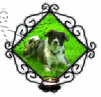 Liver and white Border Collie Dog Wrought Iron Wall Art Candle Holder