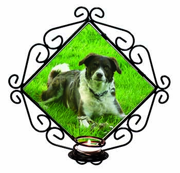 Liver and white Border Collie Dog Wrought Iron Wall Art Candle Holder