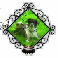 Liver and white Border Collie Dog Wrought Iron Wall Art Candle Holder