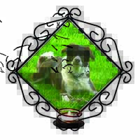 Liver and white Border Collie Dog Wrought Iron Wall Art Candle Holder