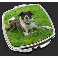 Liver and white Border Collie Dog Make-Up Compact Mirror