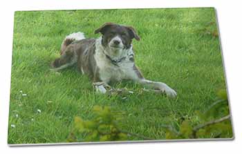Large Glass Cutting Chopping Board Liver and white Border Collie Dog