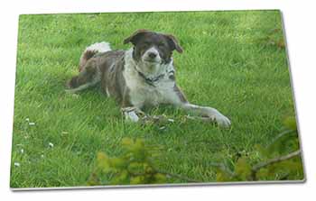 Large Glass Cutting Chopping Board Liver and white Border Collie Dog