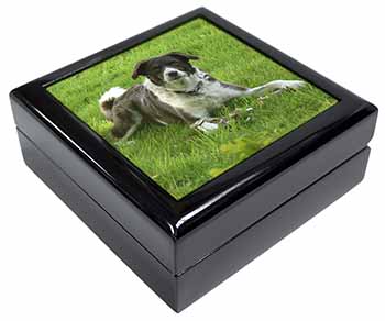 Liver and white Border Collie Dog Keepsake/Jewellery Box