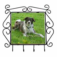 Liver and white Border Collie Dog Wrought Iron Key Holder Hooks