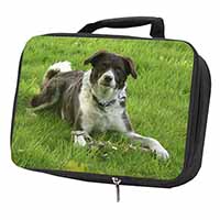Liver and white Border Collie Dog Black Insulated School Lunch Box/Picnic Bag