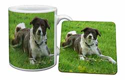 Liver and white Border Collie Dog Mug and Coaster Set