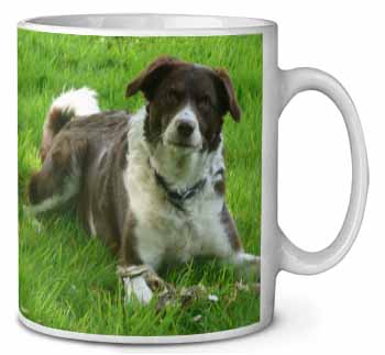 Liver and white Border Collie Dog Ceramic 10oz Coffee Mug/Tea Cup
