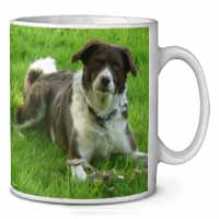 Liver and white Border Collie Dog Ceramic Coffee Mug/Tea Cup