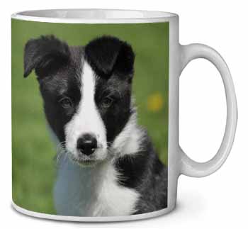 Border Collie Puppy Ceramic 10oz Coffee Mug/Tea Cup