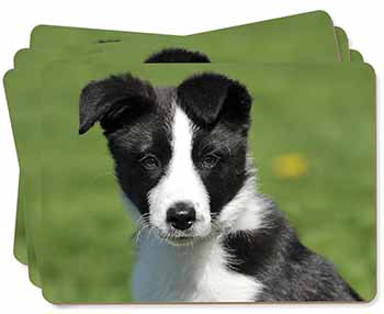 Border Collie Puppy Picture Placemats in Gift Box