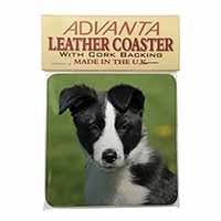 Border Collie Puppy Single Leather Photo Coaster