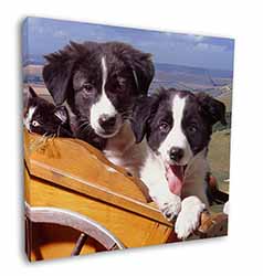 Border Collie Puppies Square Canvas 12"x12" Wall Art Picture Print