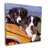 Border Collie Puppies Square Canvas 12"x12" Wall Art Picture Print
