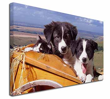 Border Collie Puppies Canvas X-Large 30"x20" Wall Art Print