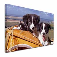 Border Collie Puppies Canvas X-Large 30"x20" Wall Art Print