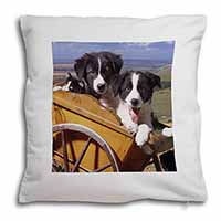 Border Collie Puppies Soft White Velvet Feel Scatter Cushion