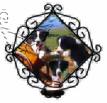 Border Collie Puppies Wrought Iron Wall Art Candle Holder