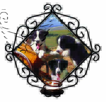 Border Collie Puppies Wrought Iron Wall Art Candle Holder