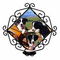 Border Collie Puppies Wrought Iron Wall Art Candle Holder