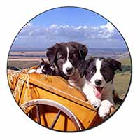 Border Collie Puppies Fridge Magnet Printed Full Colour