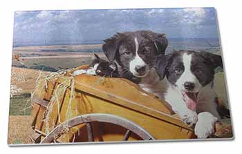 Large Glass Cutting Chopping Board Border Collie Puppies