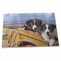 Large Glass Cutting Chopping Board Border Collie Puppies