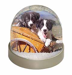 Border Collie Puppies Snow Globe Photo Waterball