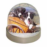 Border Collie Puppies Snow Globe Photo Waterball