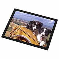 Border Collie Puppies Black Rim High Quality Glass Placemat