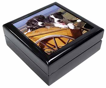 Border Collie Puppies Keepsake/Jewellery Box
