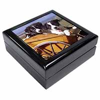 Border Collie Puppies Keepsake/Jewellery Box