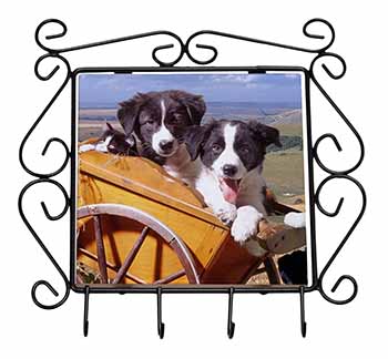 Border Collie Puppies Wrought Iron Key Holder Hooks