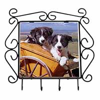 Border Collie Puppies Wrought Iron Key Holder Hooks