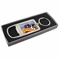 Border Collie Puppies Chrome Metal Bottle Opener Keyring in Box