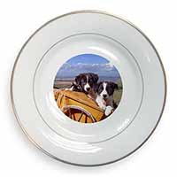 Border Collie Puppies Gold Rim Plate Printed Full Colour in Gift Box