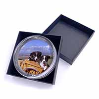 Border Collie Puppies Glass Paperweight in Gift Box