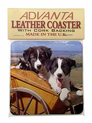 Border Collie Puppies Single Leather Photo Coaster