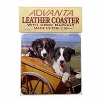 Border Collie Puppies Single Leather Photo Coaster