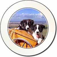 Border Collie Puppies Car or Van Permit Holder/Tax Disc Holder