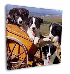 Border Collie Square Canvas 12"x12" Wall Art Picture Print