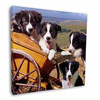 Border Collie Square Canvas 12"x12" Wall Art Picture Print