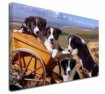 Border Collie Canvas X-Large 30"x20" Wall Art Print