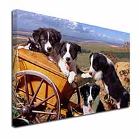 Border Collie Canvas X-Large 30"x20" Wall Art Print